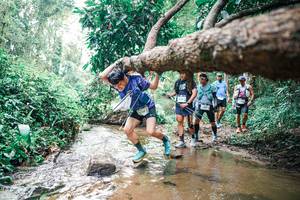 BIB: 
                            <button type="button" onclick="openModal(25374360)" class="btn btn-primary btn-sm float-right btn-popup" data-toggle="modal" data-target=".modal-high-quality">
                        <i class="fas fa-shopping-cart"></i> Add to Cart
                    </button>
                                            <button type="button" onclick="isThisMe(25374360, true)" class="btn btn-success btn-sm float-right btn-popup btn-isme hidden" data-toggle="tooltip" data-placement="bottom" title="นี่คือรูปของคุณใช่ไหม คลิกที่นี่เพื่อเอาเข้าอัลบั้ม">
                        <i class="fas fa-plus"></i> Add to album
                    </button>
                    <button type="button" onclick="isThisMe(25374360, false)" class="btn btn-warning btn-sm float-right btn-popup btn-isnotme hidden">
                        <i class="fas fa-ban"></i> Remove from album
                    </button>